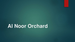 Al Noor Orchard