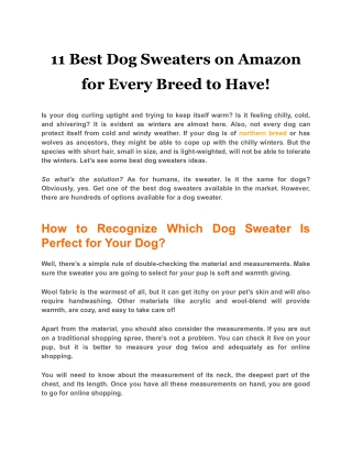 11 Best Dog Sweaters on Amazon for Every Breed to Have!