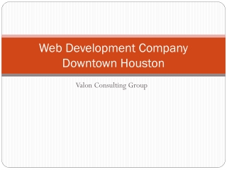 Web Development Company Downtown Houston .