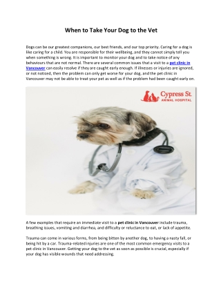 When to Take Your Dog to the Vet