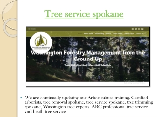 Northwest tree specialists