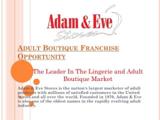 Start Adult Boutique Business