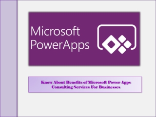 Know About Benefits of Microsoft PowerApps Consulting Services For Businesses
