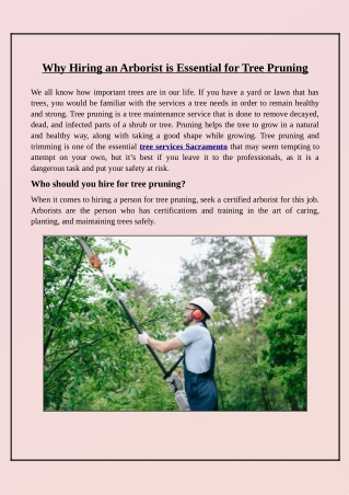 What Are the Benefits of Hiring an Arborist for Tree Care and Pruning?