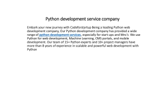 Python development service company