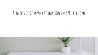 Benefits of Company Formation in SPC Free Zone