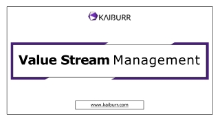 Get Best Value Stream Management - Kaiburr