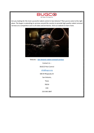San Antonio Rodent Removal Services Bugco.org