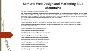 Samurai Web Design and Marketing Blue Mountains