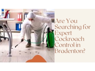 Are You Searching for Expert Cockroach Control in Bradenton?