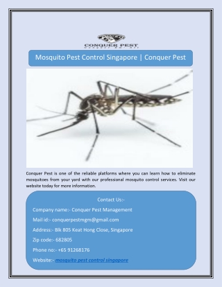 Mosquito Pest Control Singapore | Conquer Pest