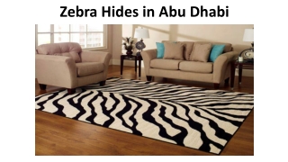 Zebra Hides Abu Dhabi