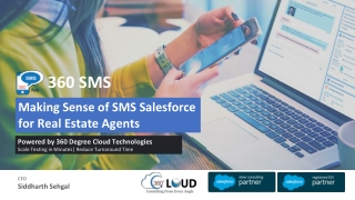 Making Sense of SMS Salesforce for Real Estate Agents