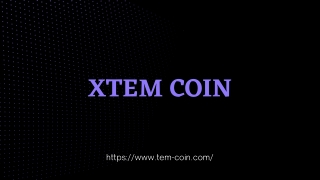 ABOUT THE XTEM COIN