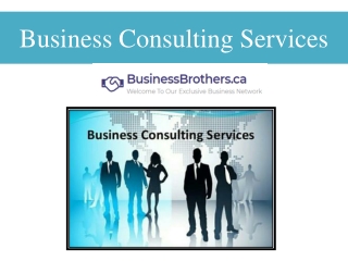 Business Consulting Services