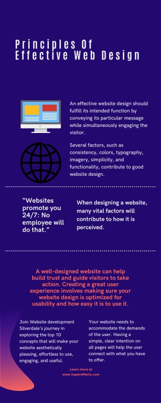 Principles Of Effective Web Design Infographics