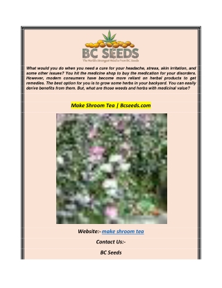 Make Shroom Tea Bcseeds.com