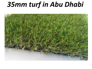 35MM TURF IN ABU DHABI