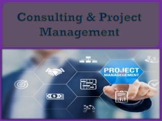 Consulting & Project Management – LEFCON