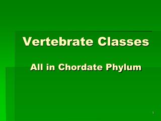 Vertebrate Classes All in Chordate Phylum