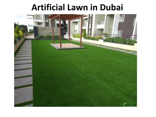 Artificial Lawn in Dubai