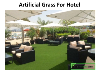 Artificial Grass For Hotels