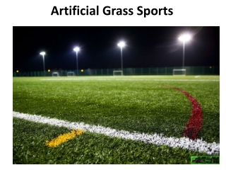 Sports Grass Dubai