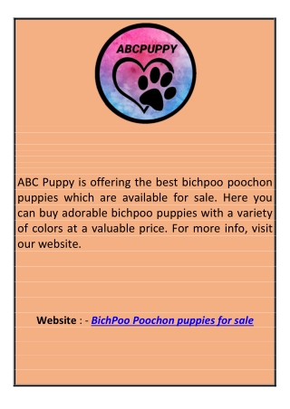 Bichpoo Poochon Puppies for Sale Abcpuppy.com