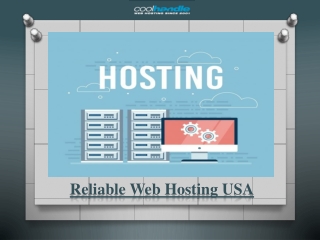 Reliable Web Hosting USA