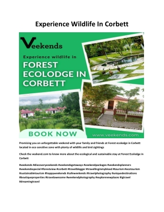 Experience Wildlife In Corbett