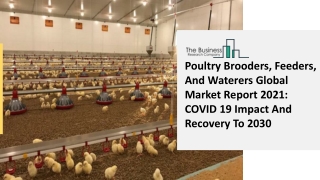 Global Poultry Brooders, Feeders, And Waterers Market Size, Share, Analysis