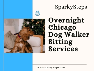 Overnight Chicago Dog Walker Sitting Service | SparkySteps