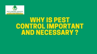 Why is Pest Control Important and Necessary