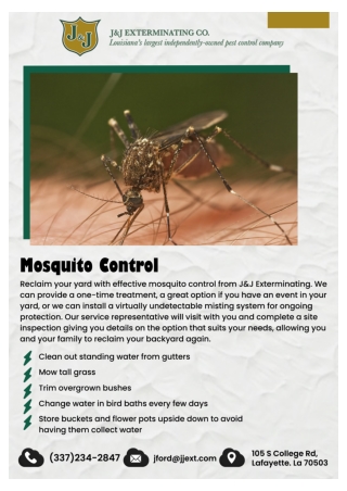 Louisiana Bed Bug Control | Pest Removal Louisiana