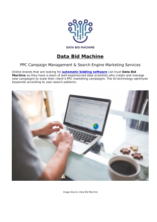 Data Bid Machine - PPC Campaign Management & Search Engine Marketing Services