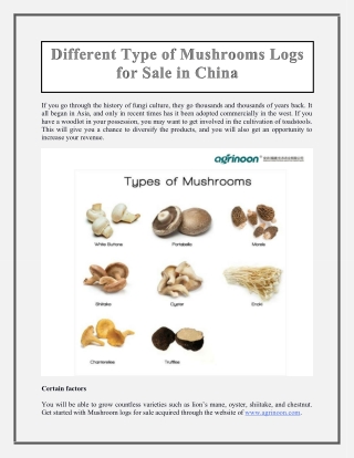 Different Type of Mushrooms Logs for Sale in China