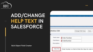 How to Update Description and Help Text Field in Salesforce