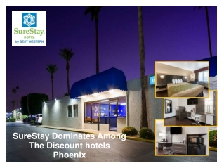 SureStay Dominates Among The Discount hotels Phoenix