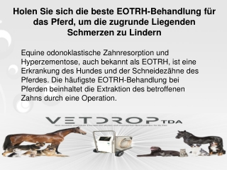 Holen Sie sich die beste EOTRH-Behandlung für das Pferd, um die zugrunde Liegenden Schmerzen zu Lindern