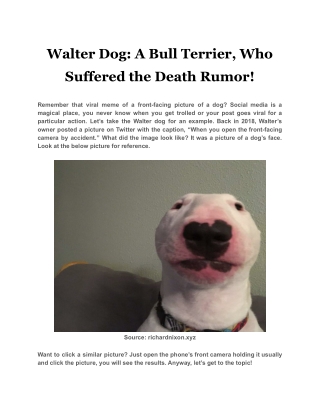 Walter Dog A Bull Terrier, Who Suffered the Death Rumor!