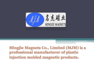 Search Latest Type Of Injection Molding Magnets Manufacturer In China