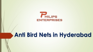 Anti Bird Nets in Hyderabad