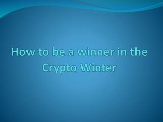 How to be a winner in the Crypto Winter