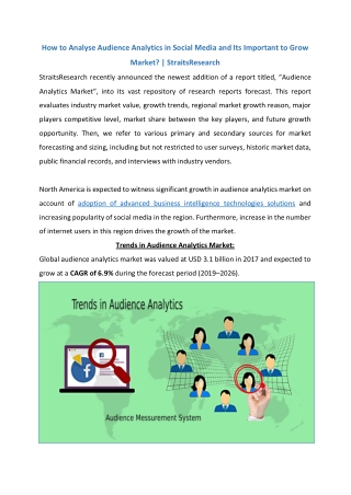 Audience Analytics Market Growth