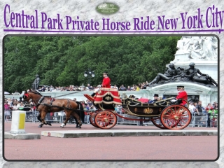 Central Park Private Horse Ride New York City