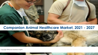 Companion Animal Healthcare Market Size Analysis, Segmentation, Industry Outlook