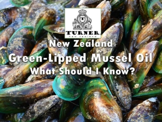 New Zealand Green-Lipped Mussel Oil What Should I Know