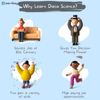 Data Scientist