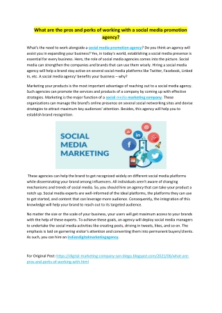 What are the pros and perks of working with a social media promotion agency