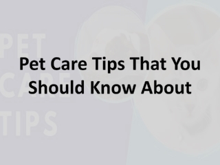 Pet Care Tips That You Should Know About